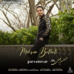 دانلود آهنگ محسن بلبلی پروانه وار